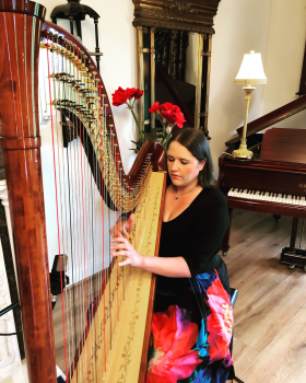 Aisleagh.  Concert Harpist