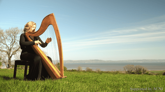Lucia McGinnis Harpist