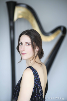 The Waldorf Harpist