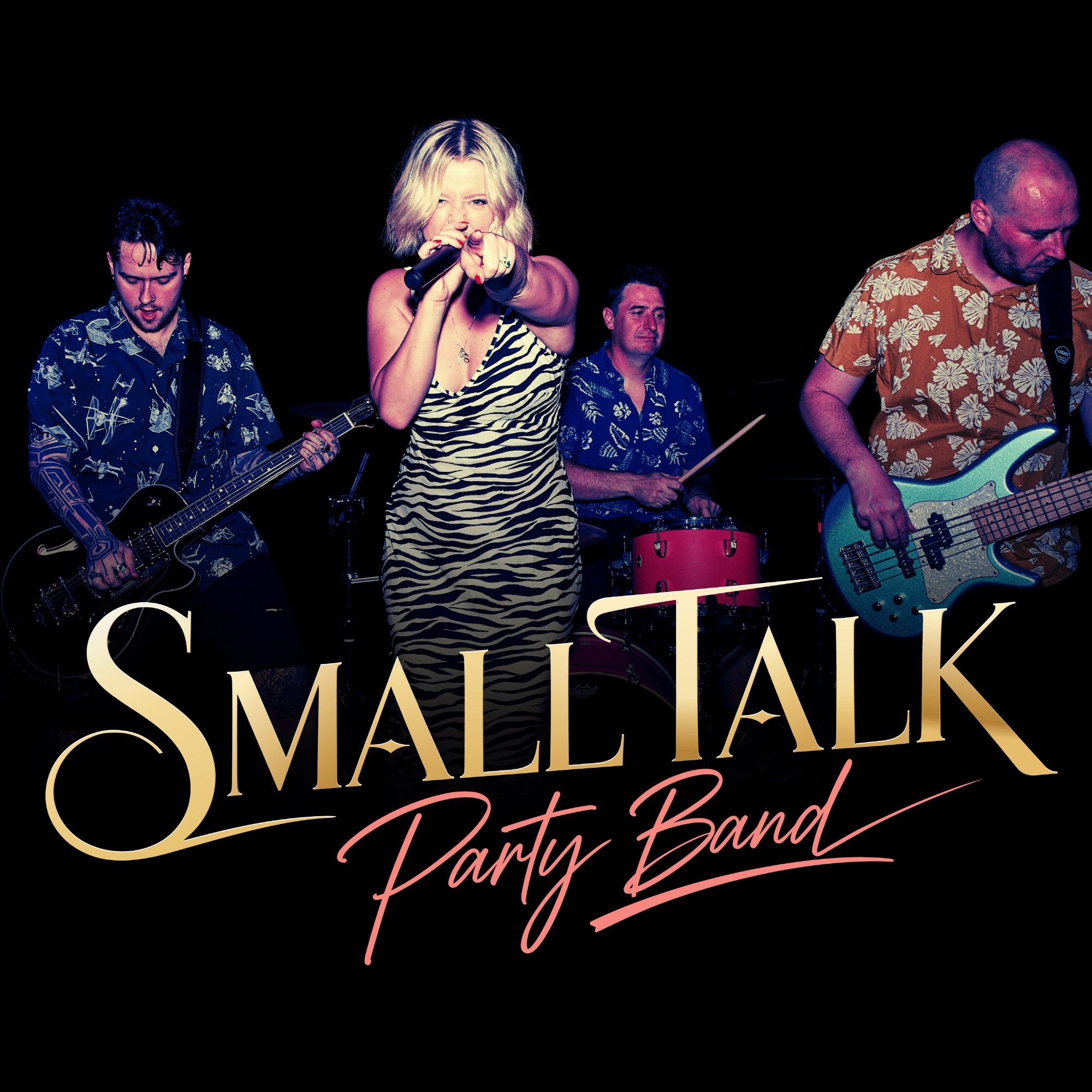 Small Talk Party Band