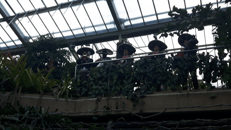 Mariachi El Mexicano - Photo 2