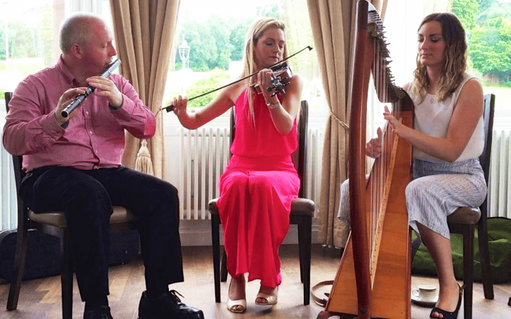 Davey Traditional Trio - Photo 8