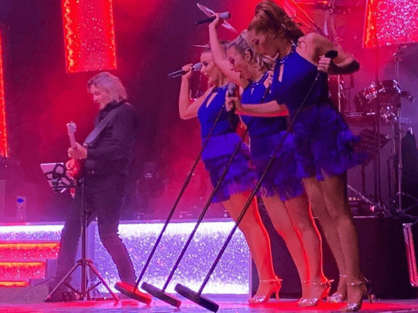 The Bluebirds - Photo 14