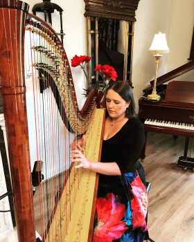 Aisleagh.  Concert Harpist