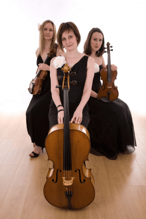 Bowfiddle Strings - Photo 3