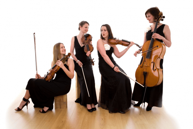 Bowfiddle Strings - Photo 4