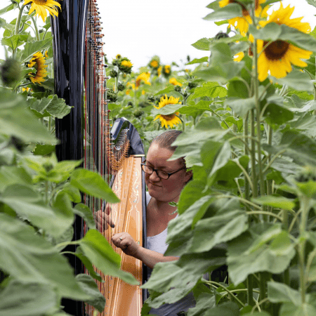 Rebecca Barnes Harpist - Photo 8