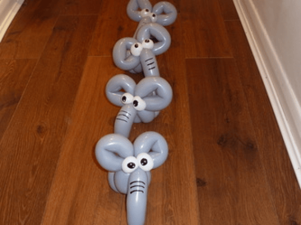 Balloon Modelling Man  - Photo 11