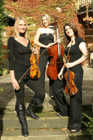 Simply Strings Trio - Photo 5