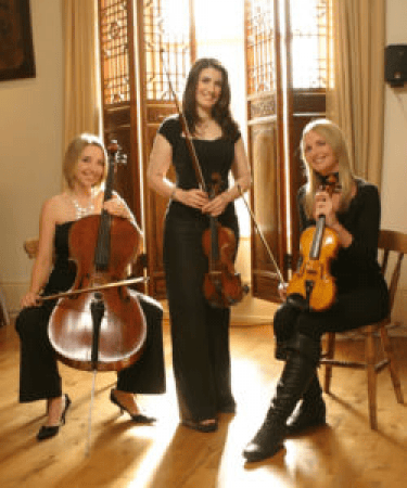 Simply Strings Trio - Photo 12