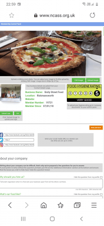 Wood Fire Pizza Van  - Photo 2