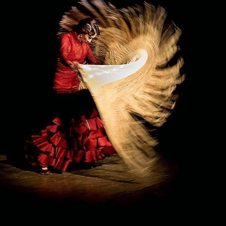 Jesus Olmedo -  Flamenco Show - Photo 9