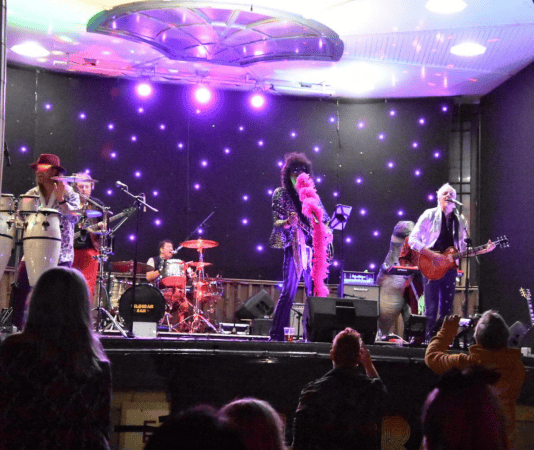 Telegram Sam - T.Rex Tribute - Photo 8