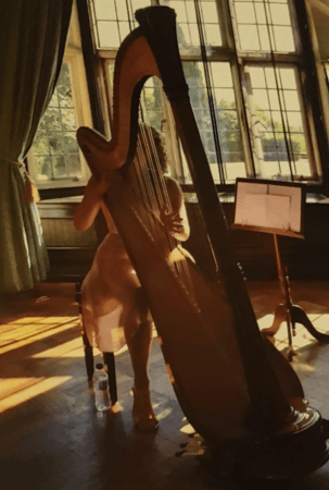 Harpist Lucy Bishop - Photo 5
