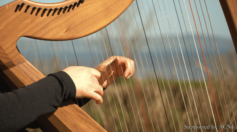 Lucia McGinnis Harpist - Photo 6