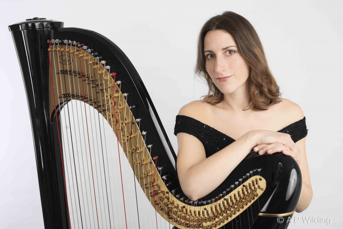 The Waldorf Harpist - Photo 3