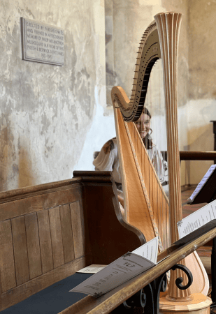 Aoife Miralles, Harpist - Photo 5