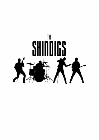 The Shindigs - Photo 2