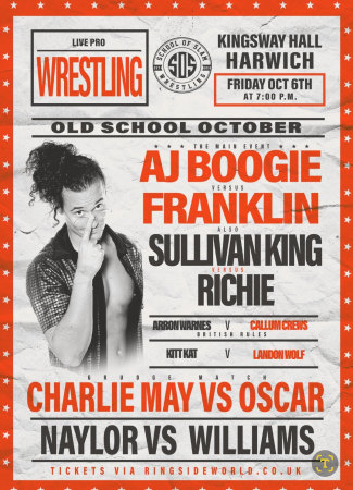 Professional Wrestling  - Photo 4