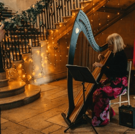 Harpist Marlow Buckinghamshire - Photo 4