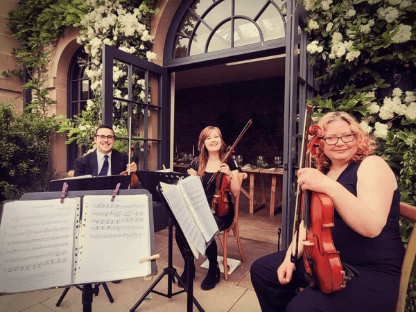 Vitula String Quartet - Photo 4