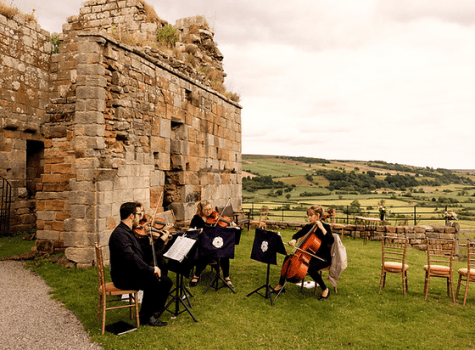 Vitula String Quartet