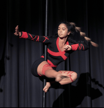 Ninja flying pole - Photo 3
