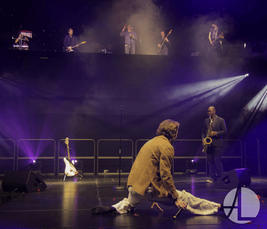 FosseyTango - Photo 2