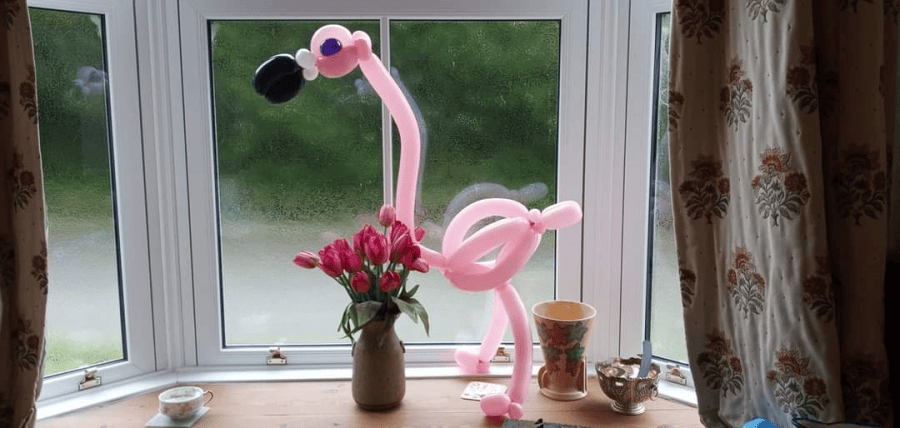 Amazing balloon animals for the party - Photo 10