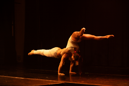 ALIATRIX | Partner Acrobatics