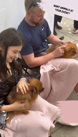 Patacake Paws Cuddles & Wellness - Photo 10