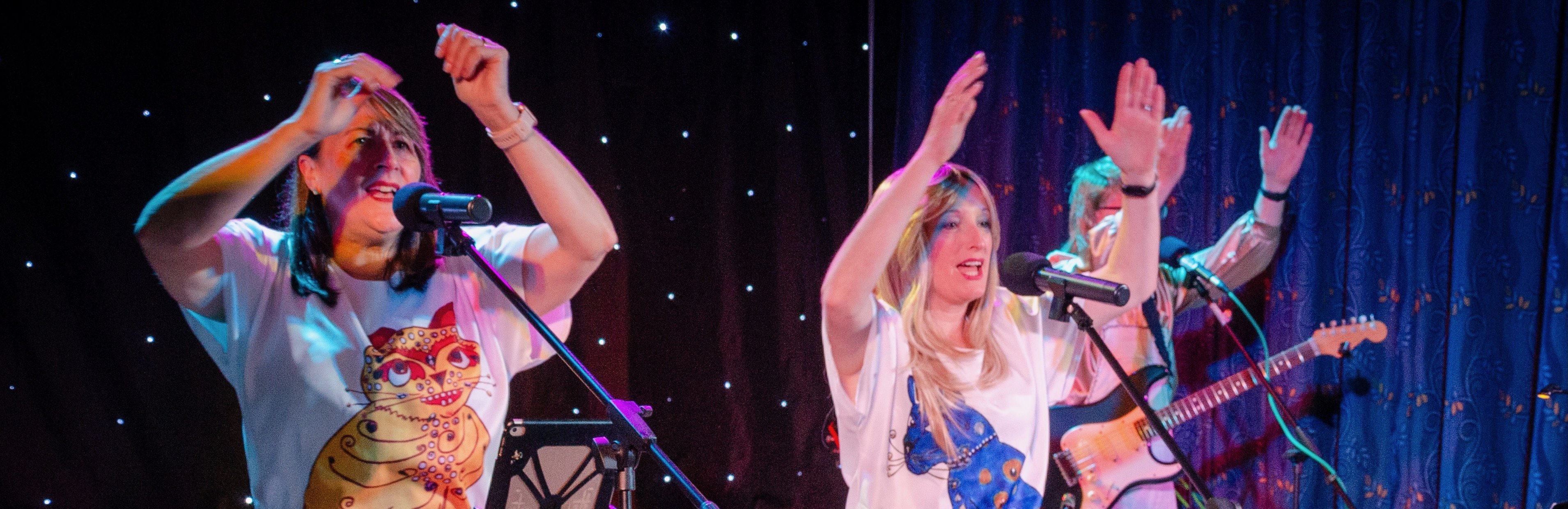 Take A Chance On Three – ABBA Tribute