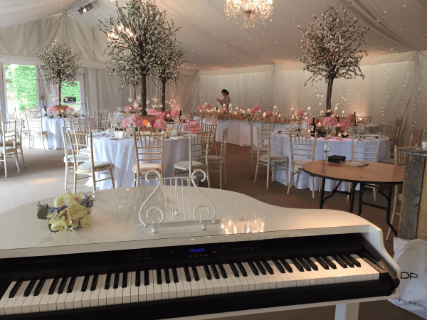 Karen Daniels - Wedding & Event Pianist - Photo 2