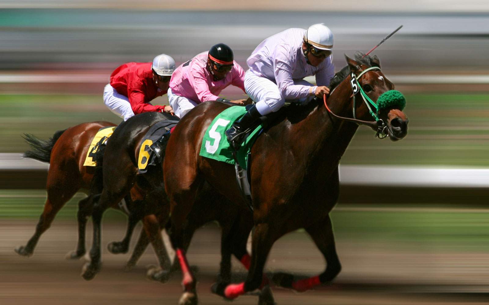 Night of The Races