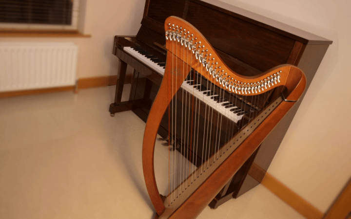 Siobhan Flanagan - Pianist, Harpist & Singer - Photo 6