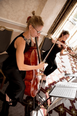 Sorelli Ensemble - Photo 3