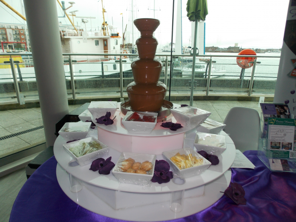 Chocolate Fountain Heaven  - Photo 2