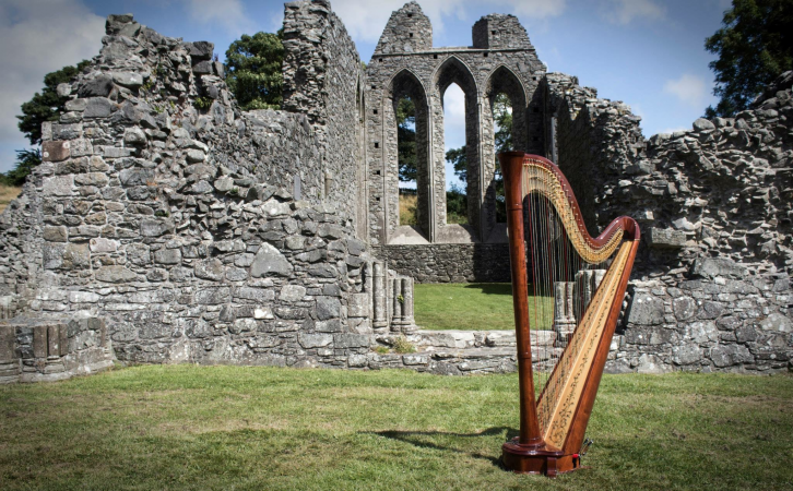 Aisleagh.  Concert Harpist - Photo 2