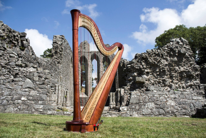 Aisleagh.  Concert Harpist - Photo 3