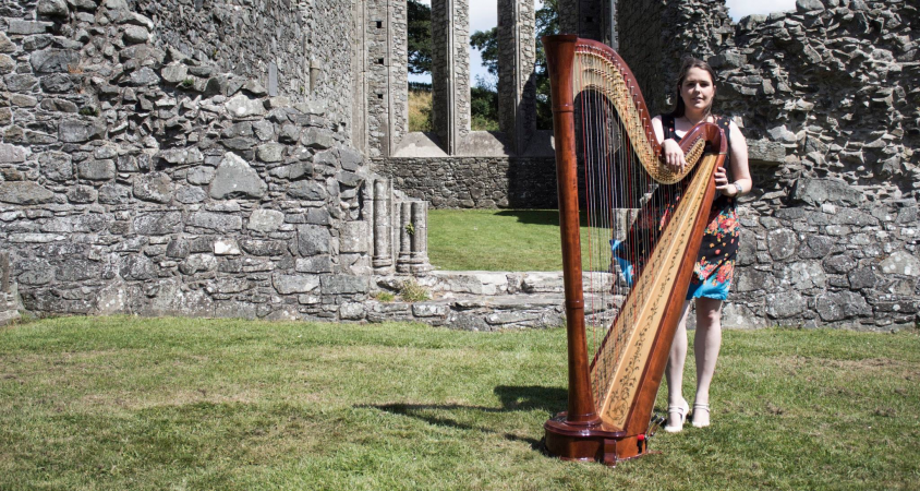 Aisleagh.  Concert Harpist - Photo 7