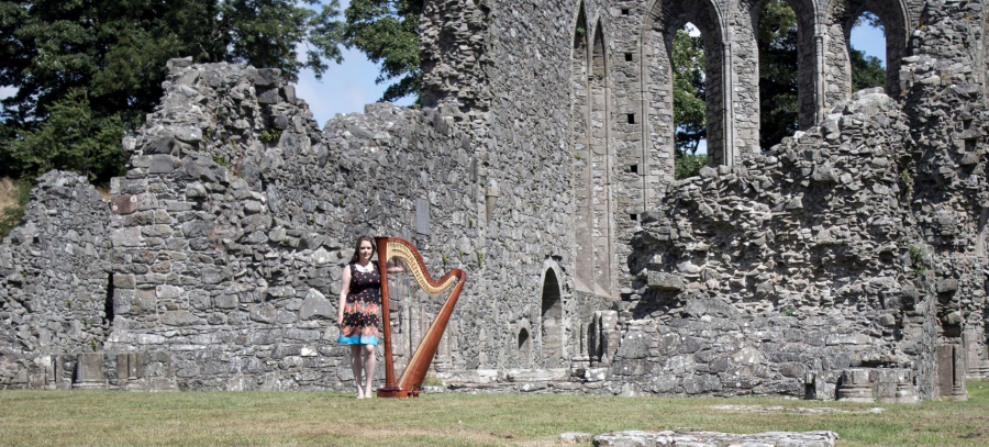 Aisleagh.  Concert Harpist - Photo 11