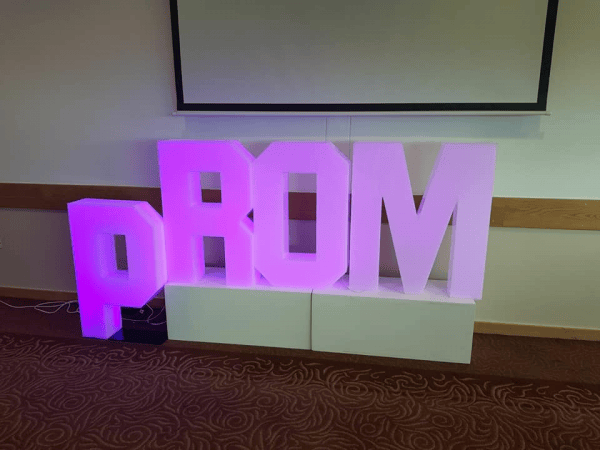 Emerald Lion Photo Booths - Photo 16