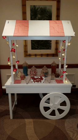 Emerald Lion Photo Booths - Photo 22