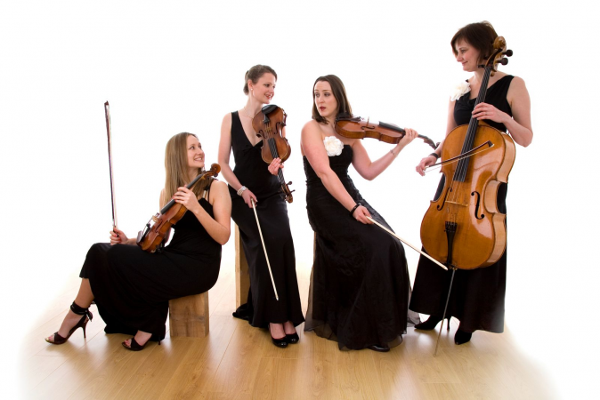 Bowfiddle Strings - Photo 4