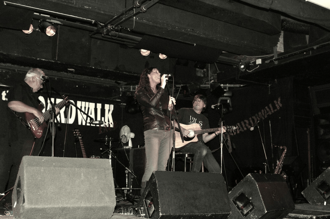 Swansong Acoustic - Photo 4