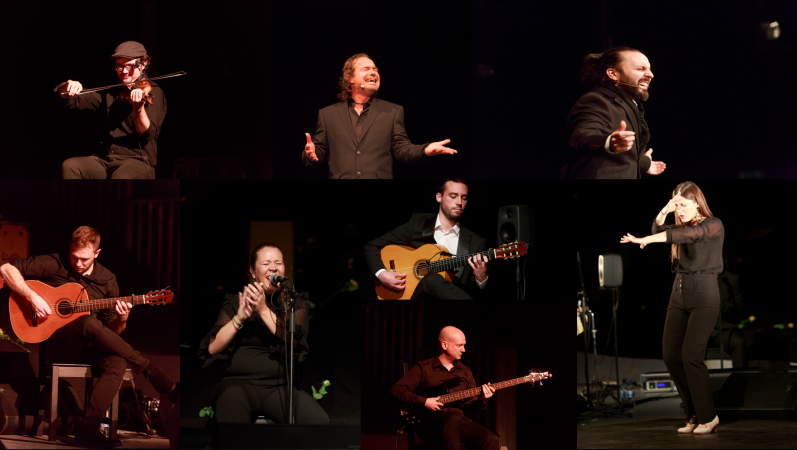 Daniel Martinez Flamenco Company/Band - Photo 2