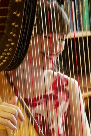 Harpist Heather Wrighton - Photo 3