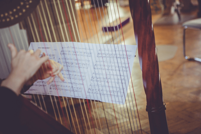 Harpist Heather Wrighton - Photo 4