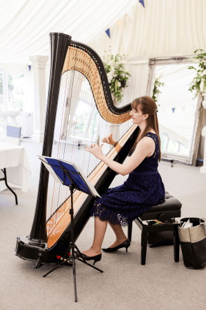 Harpist Heather Wrighton - Photo 5