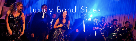 Reel Deal Band  - Photo 3